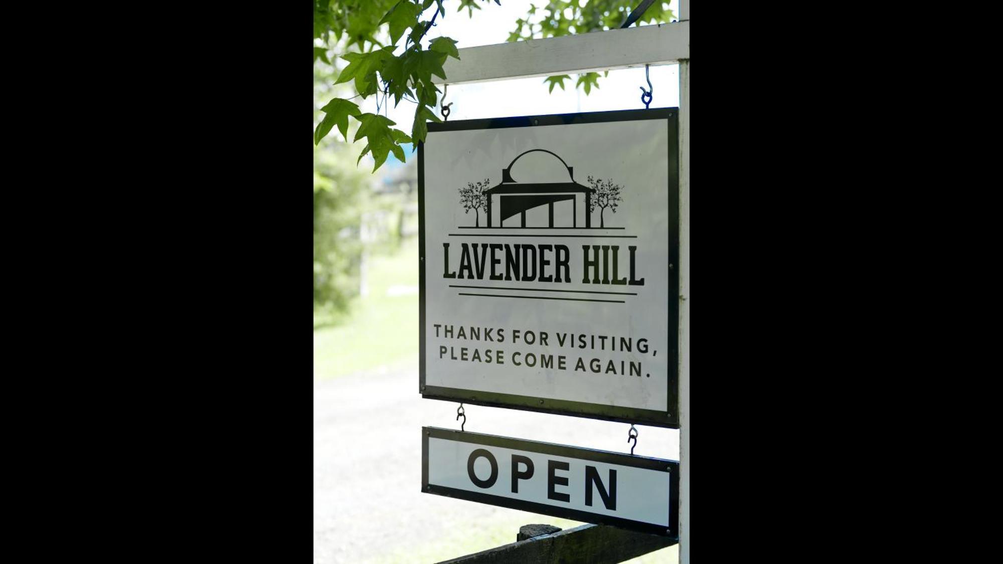 Bed and Breakfast Lavender Hill Riverhead Экстерьер фото